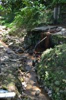 Sulphur Springs Quelle St. Lucia (1)