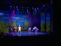 Musical Show Mein Schiff 2