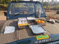Frühstück auf der Motorhaube, Bandhavgarh Nationalpark