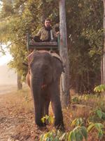 Die Parkwächter sind auf Elefanten unterwegs, Bandhavgarh Nationalpark