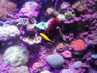 Rundreise Singapur & Malaysia, Sentosa Island