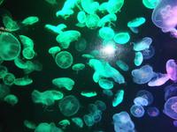 Rundreise Singapur & Malaysia, Sentosa Island