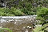 Rio Simpson Nationalpark