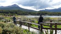 Feuerland Nationalpark