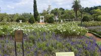 Buenos Aires, Stadtrundfahrt, Rosengarten