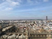 Aussicht über Sevilla vom Kirchenturm Giralda