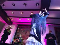 von Emotionen geprägte Flamenco-Vorstellung