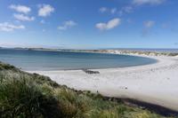 71_Falkland Inseln