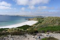 74_Falkland Inseln
