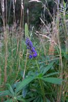 115_Nationalpark Rio Simpson Puerto Chacabuco