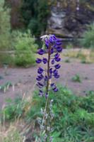 117_Nationalpark Rio Simpson Puerto Chacabuco