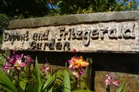 Victoria - botanischer Garten (2)