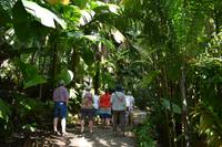 Reisegruppe im botainischen Garten von Victoria