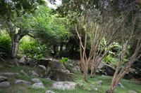 Gewürzgarten Jardin du Roi (2)