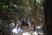 Reisegruppe im Vallee de Mai
