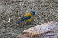 Wanderung zur Laguna Torre im Nationalpark Los Glaciares in El Chalten