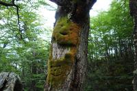 DAusflug zum Wüstensee Lago del Desierto mit Wanderung am Huemul-Gletscher bei El Chalten