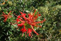 Torres del Paine Nationalpark in Chile
