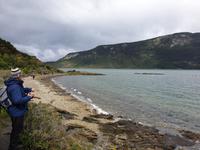 Wanderung am Beagle-Kanal im Feuerland-Nationalpark in Usuahia