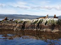 Bootsfahrt auf dem Beagle-Kanal