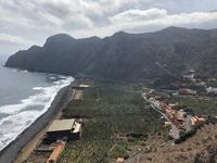 Bananenfelder soweit das Auge reicht