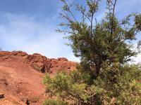 Rote Erde am Mirador de Abrante