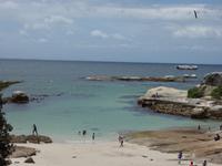 Das Kap der Guten Hoffnung an die Südspitze Afrikas