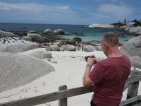Die Pinguin-Kolonie am Boulders Beach bei Simonstown (Kapstadt)