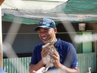 Straußenfarm in Oudtshoorn