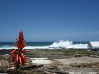 Auf dem Weg zum Tsitsikamma-Nationalpark