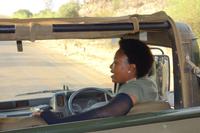 Pirschfahrt im Pilanesberg-Nationalpark, Südafrika