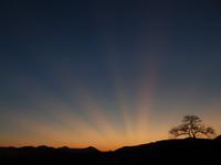 Pirschfahrt im Pilanesberg-Nationalpark, Südafrika