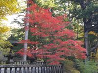 Nikko-Nationalpark in Japan