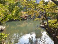 Meiji- Schrein, die Gedenkstätte für Kaiser Meiji, in Japan