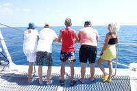 Katamaran-Tour durch das Great Barrier Reef