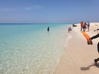 Katamaran-Tour durch das Great Barrier Reef