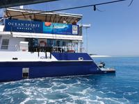 Katamaran-Tour durch das Great Barrier Reef
