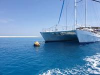 Katamaran-Tour durch das Great Barrier Reef