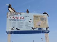 Katamaran-Tour durch das Great Barrier Reef