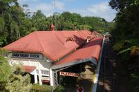Mit dem historischen Eisenbahn in Kuranda durch den Regenwald wieder zurück nach Cairns