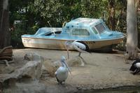 Besuch im Featherdale Wildlife Park