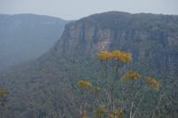 Die grandiose Bergwelt der Blue Mountains