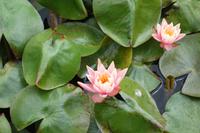 Das Bricksbay-Weingut bei Auckland, Neuseeland