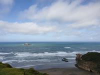 Eine der größten Tölpelkolonien auf dem Festland in Neuseeland