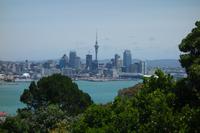 Auckland, Stadt der Segel