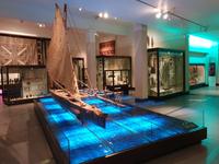 Auckland, Stadt der Segel