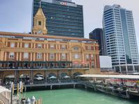 Auckland, Stadt der Segel