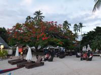 Hotel Le Méridien Tahiti