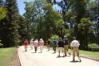 Das größte Weingut im Lande: Concha y Toro, in Maipo-Tal, eines der besten Wein-Anbaugebiete der Welt