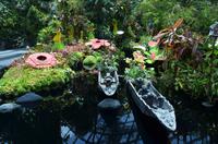Cloud Forest 6